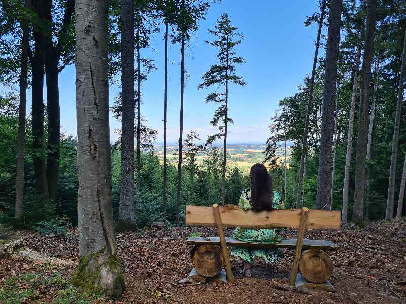 Ruhiger Ausblick auf die Wälder rund um die Ferienwohnung am Kobernaußerwald im Innviertel mit einer entspannten Frau auf einer Holzbank.