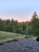 Blick von der Terrasse auf die weitläufige Wiese und den Waldrand mit einer entspannten schwarzen Katze im Vordergrund.