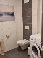 Ansicht des WCs im Badezimmer mit einem großen, stimmungsvollen Wandbild einer Nebellandschaft über dem Toilettenpapierhalter.
