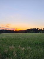 idyllischer Blick über eine grüne Wiese auf den angrenzenden Wald bei einem farbenfrohen Sonnenuntergang direkt gegenüber der Ferienwohnung.